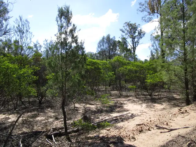 Main view of Homely rural property listing, LOT 123 HARWOODS ROAD, Tara QLD 4421