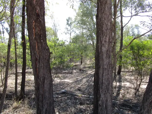 Second view of Homely rural property listing, LOT 123 HARWOODS ROAD, Tara QLD 4421