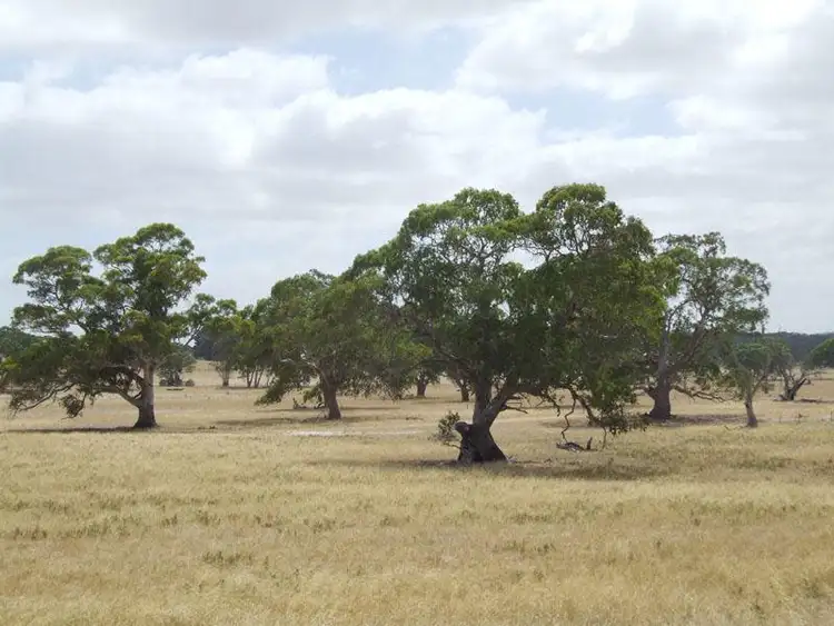 Second view of Homely land listing, LOT 12 WALDING DRIVE, Naracoorte SA 5271