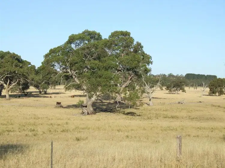 Sixth view of Homely land listing, LOT 12 WALDING DRIVE, Naracoorte SA 5271