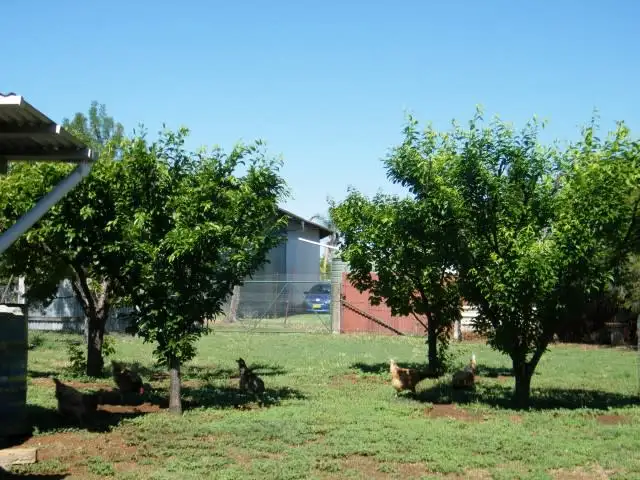 Second view of Homely house listing, 51 Dewhurst Street, Quirindi NSW 2343