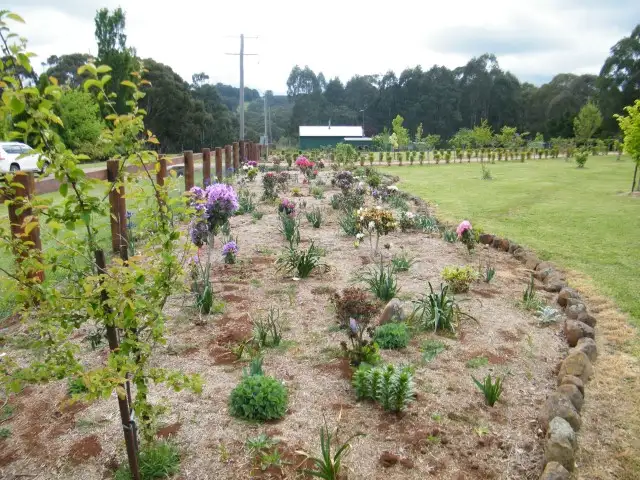 Fifth view of Homely house listing, 6 Andeva Road, Hanging Rock NSW 2340