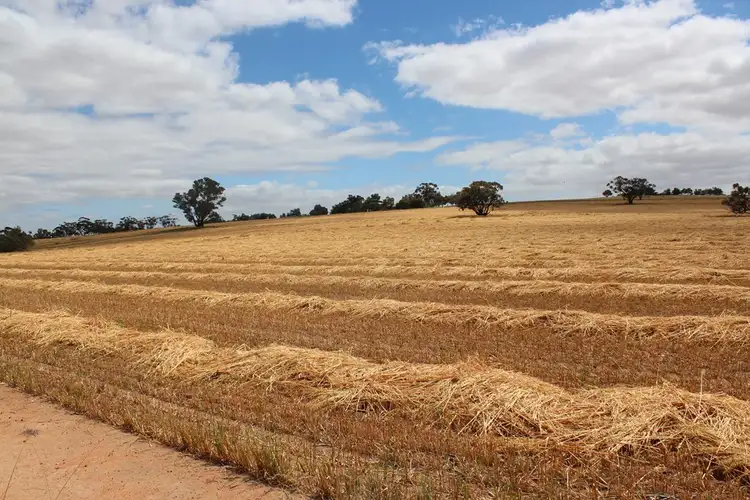 Second view of Homely rural property listing, 311 Beering Rd, Irishtown WA 6401