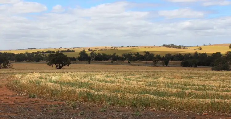 Third view of Homely rural property listing, 311 Beering Rd, Irishtown WA 6401