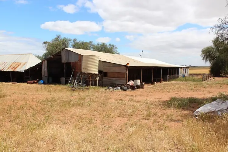Sixth view of Homely rural property listing, 311 Beering Rd, Irishtown WA 6401