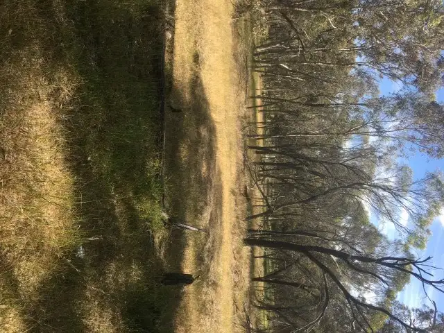 Main view of Homely rural property listing, 560 Eates Road, Kojonup WA 6395