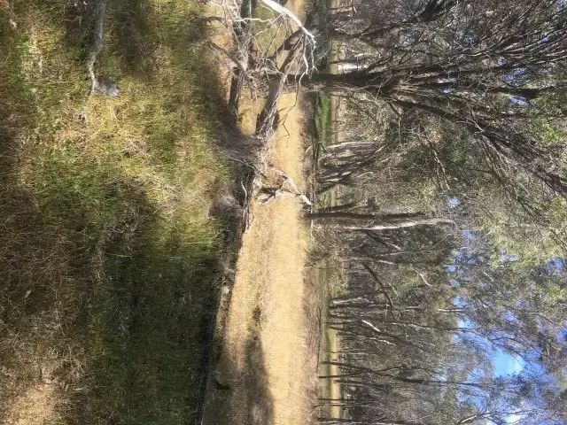 Second view of Homely rural property listing, 560 Eates Road, Kojonup WA 6395