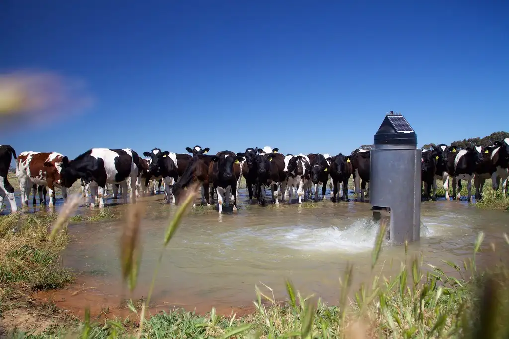 Main view of Homely rural property listing, 877 Lorenzs Road, Katunga VIC 3640