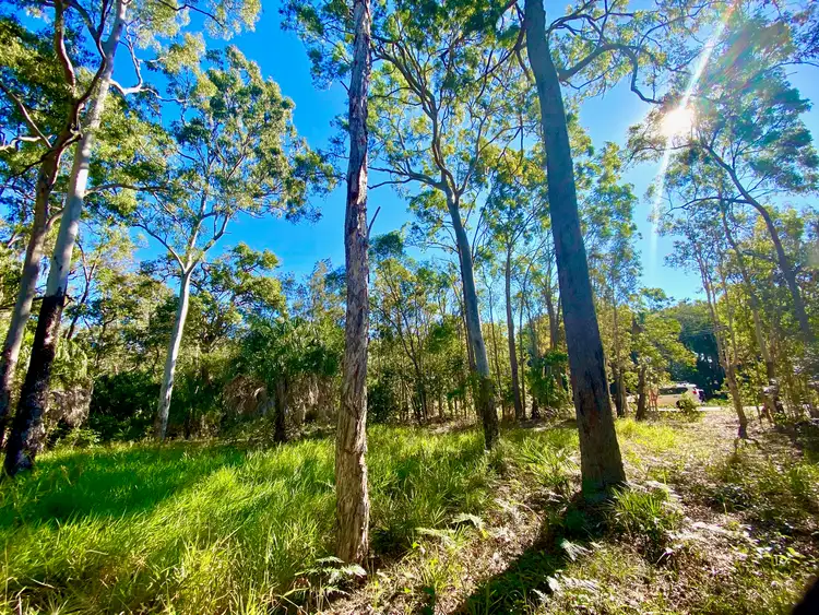 299 Masthead Drive, Agnes Water QLD 4677