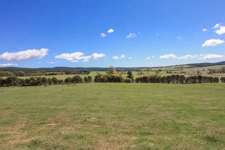Fifth view of Homely rural property listing, . 'CRAIGIE STATION' Big Flat Road, Craigie NSW 2632