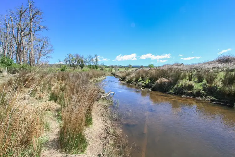 Seventh view of Homely rural property listing, . 'CRAIGIE STATION' Big Flat Road, Craigie NSW 2632