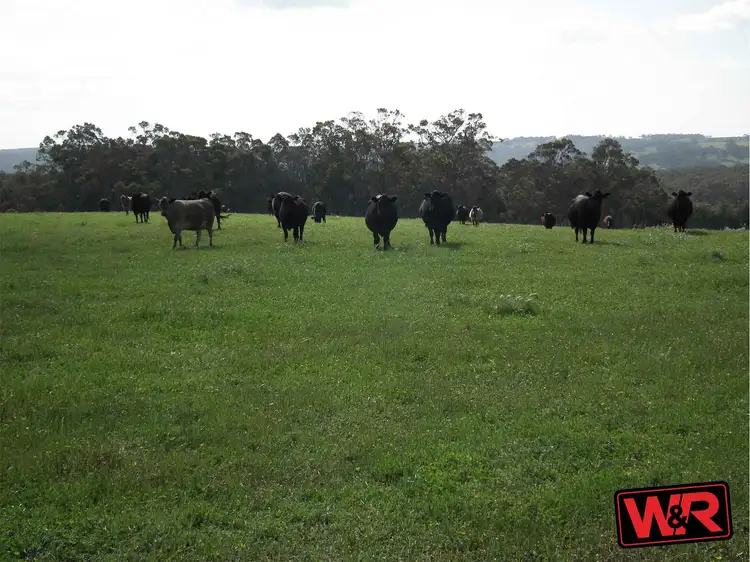 Fourth view of Homely rural property listing, 1417 Spencer Road, Narrikup WA 6326