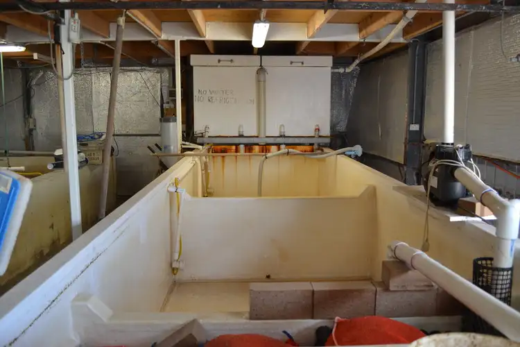 Sixth view of Homely land listing, 21 CAMPBELL STREET, Kingscote SA 5223