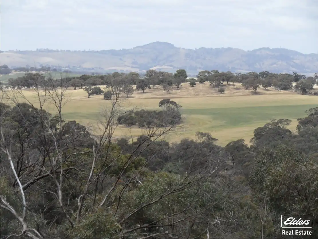 Main view of Homely land listing, 11 Old Sturt Highway, Daveyston SA 5355