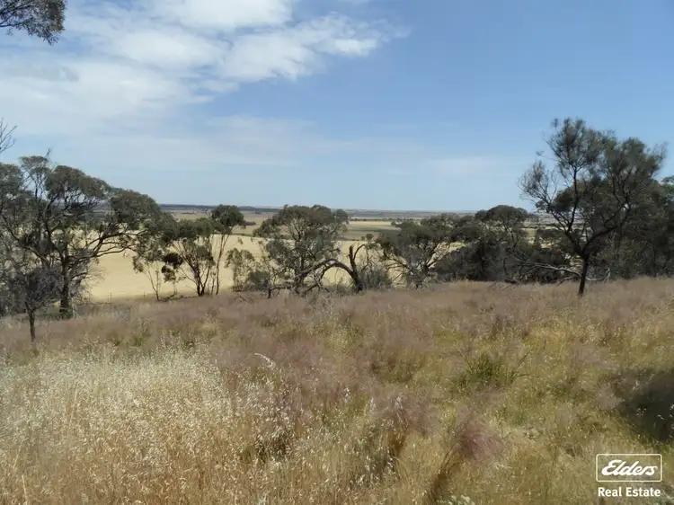 Sixth view of Homely land listing, 11 Old Sturt Highway, Daveyston SA 5355