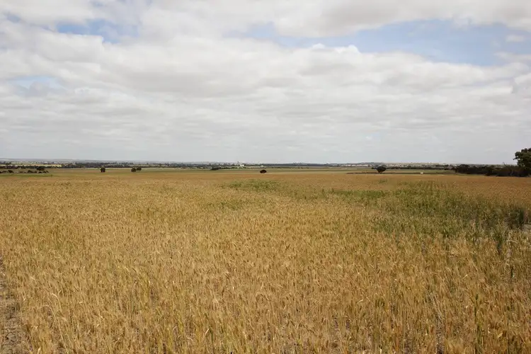 Fourth view of Homely rural property listing, 19657 Great Eastern Highway, Kellerberrin WA 6410