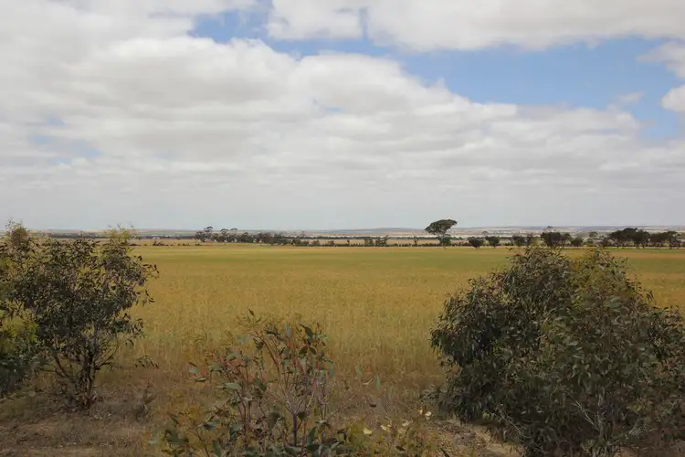 Fifth view of Homely rural property listing, 19657 Great Eastern Highway, Kellerberrin WA 6410