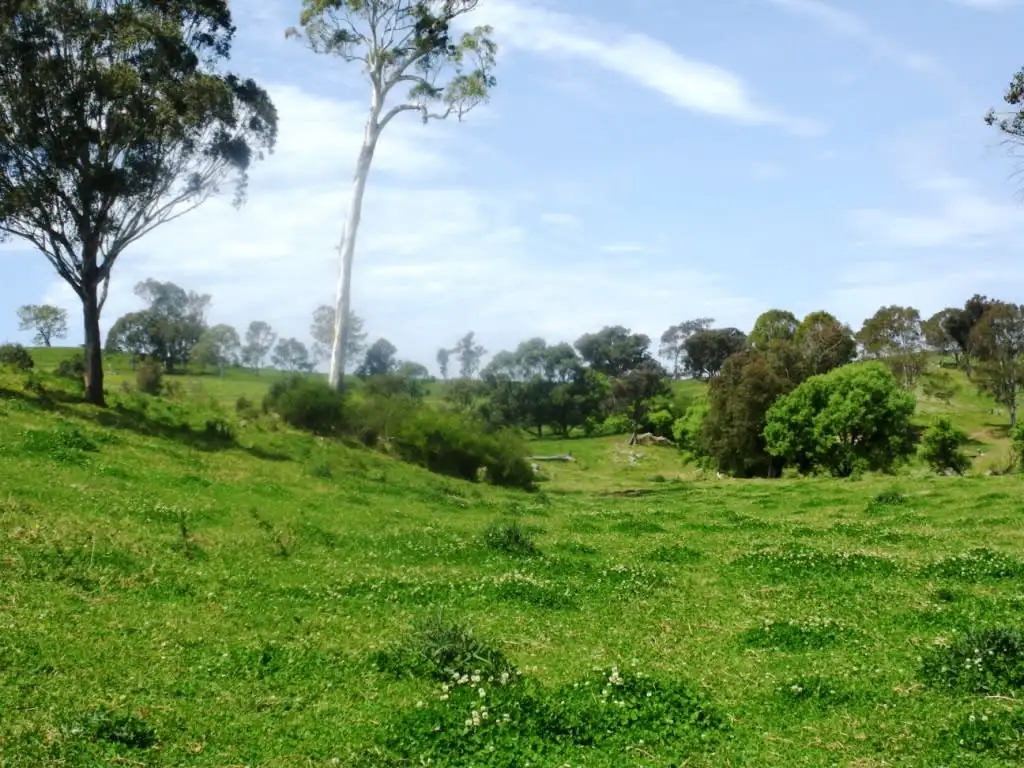Main view of Homely rural property listing, 407 Angledale Rd, Bega NSW 2550