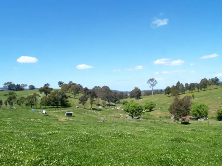 Second view of Homely rural property listing, 407 Angledale Rd, Bega NSW 2550