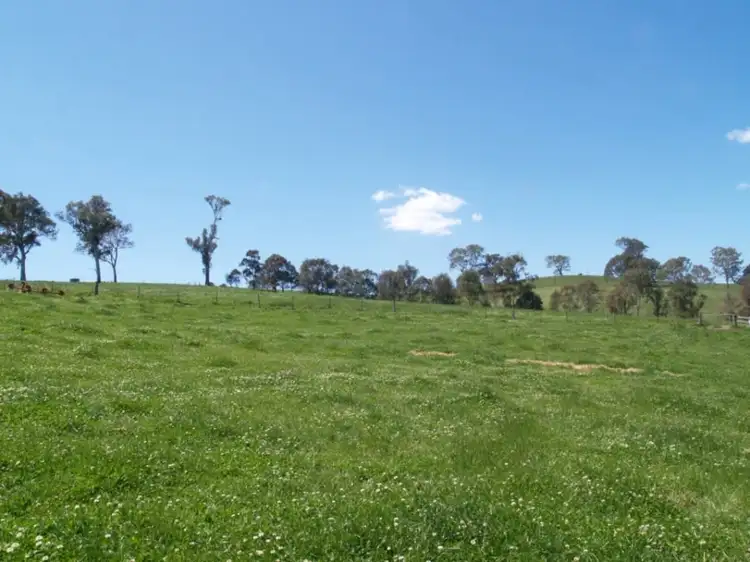 Fourth view of Homely rural property listing, 407 Angledale Rd, Bega NSW 2550
