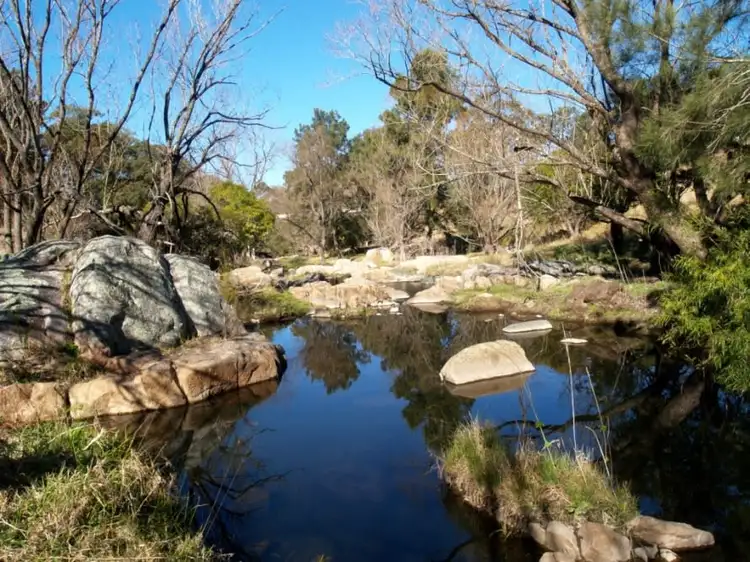 Seventh view of Homely rural property listing, 407 Angledale Rd, Bega NSW 2550