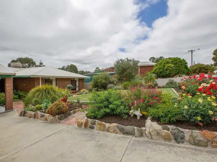 Main view of Homely house listing, 19 Bevan Way, Collie WA 6225