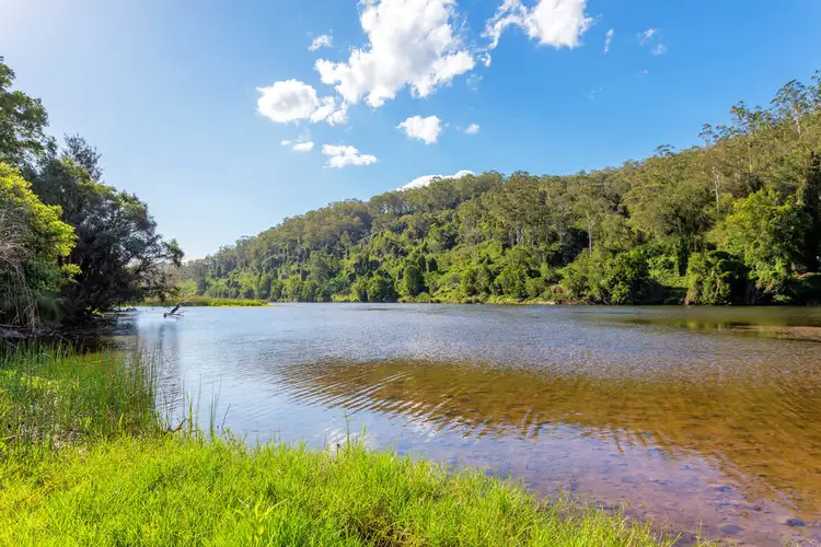 Third view of Homely rural property listing, 564 Kimbriki Road, Wingham NSW 2429