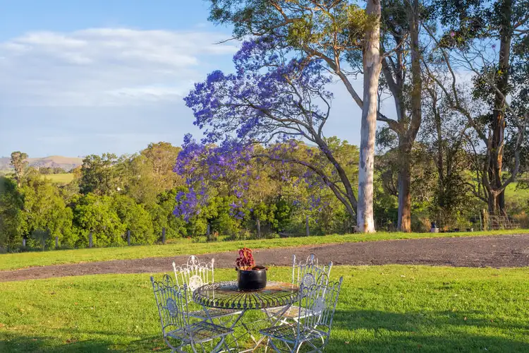 Sixth view of Homely rural property listing, 564 Kimbriki Road, Wingham NSW 2429
