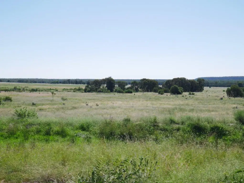 Main view of Homely rural property listing, 6402 CECIL PLAINS ROAD, Weir River QLD 4406
