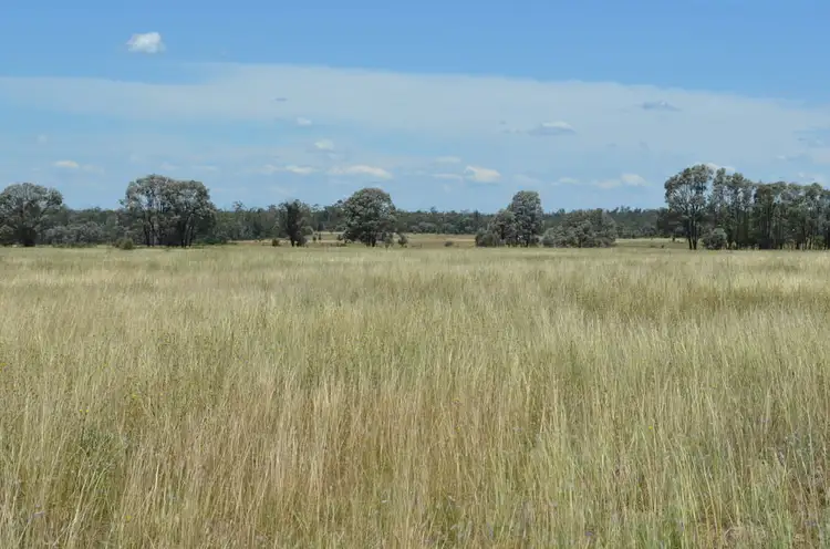 Fourth view of Homely rural property listing, 6402 CECIL PLAINS ROAD, Weir River QLD 4406