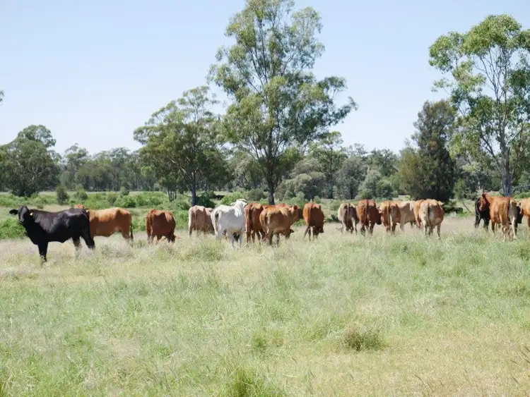 Fifth view of Homely rural property listing, 6402 CECIL PLAINS ROAD, Weir River QLD 4406