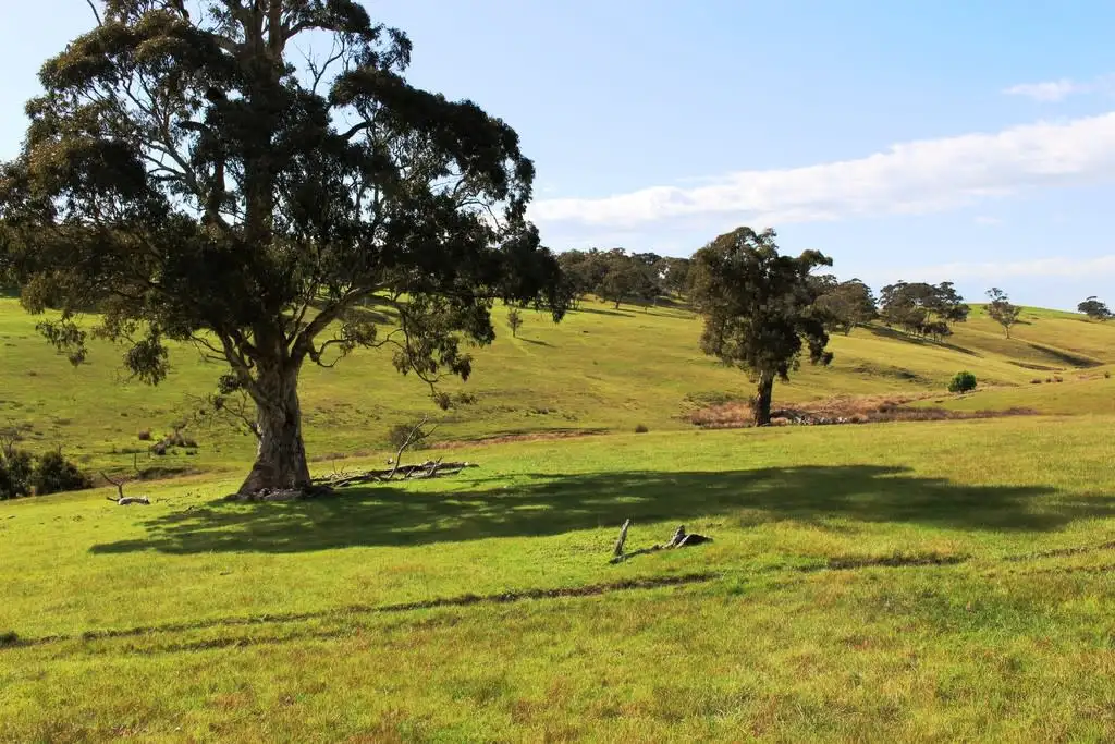 Main view of Homely rural property listing, Lot 1 Blackmore Road, Strathalbyn SA 5255