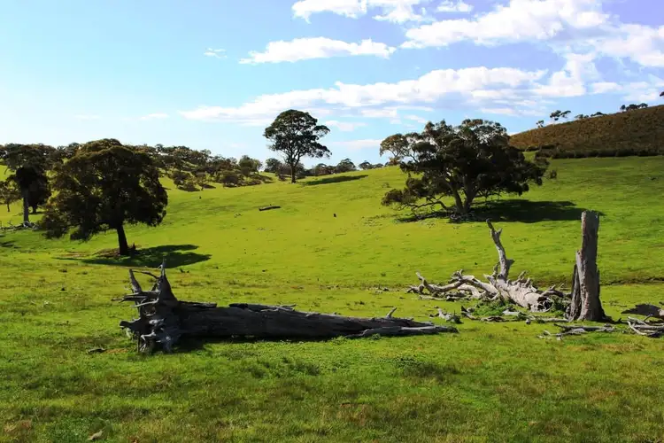 Fourth view of Homely rural property listing, Lot 1 Blackmore Road, Strathalbyn SA 5255