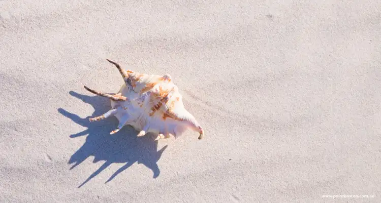 Seventh view of Homely land listing, Lot 44 East Parade,, Point Boston SA 5607