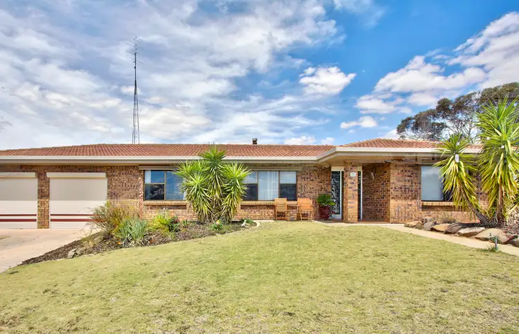 Main view of Homely house listing, 24 Thiele Avenue, Loxton SA 5333