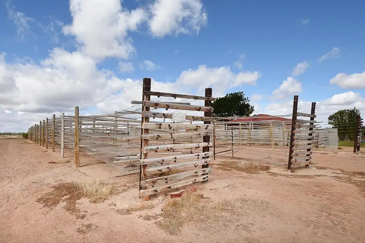 Fourth view of Homely rural property listing, 56-74 Darling Road, Pomona NSW 2648
