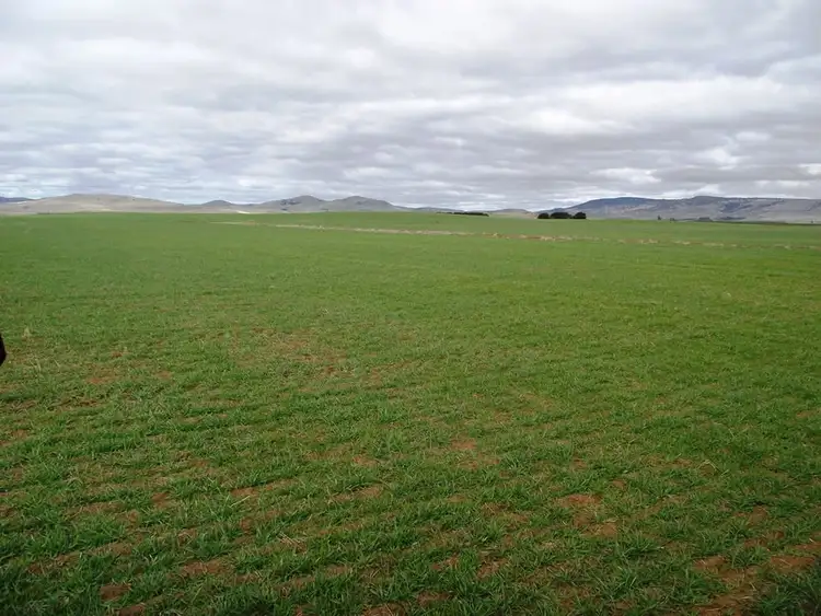 Third view of Homely rural property listing, . Windsor Street, Tunbridge TAS 7120