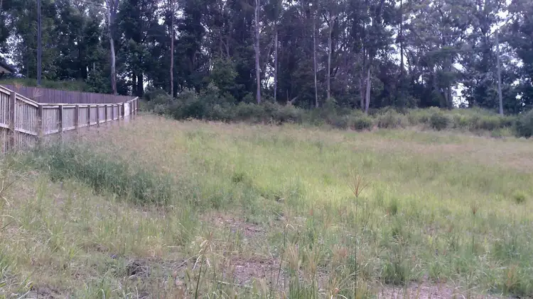 Main view of Homely land listing, 39 Egret Avenue, Woombye QLD 4559
