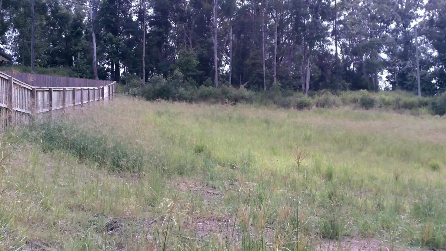Main view of Homely land listing, 39 Egret Avenue, Woombye QLD 4559
