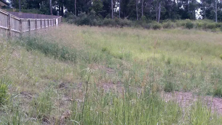 Third view of Homely land listing, 39 Egret Avenue, Woombye QLD 4559