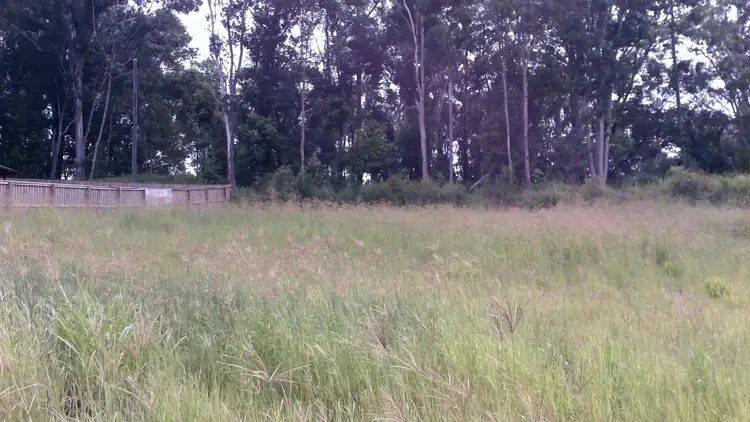 Fifth view of Homely land listing, 39 Egret Avenue, Woombye QLD 4559