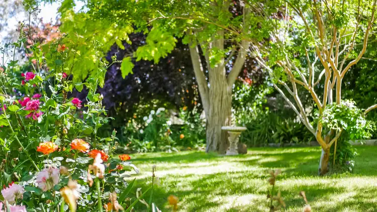 Sixth view of Homely rural property listing, 1161 Amaroo Road, Orange NSW 2800