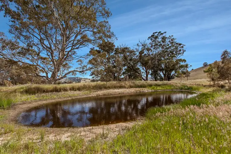 Second view of Homely rural property listing, - Broadford-Pyalong Road, Pyalong VIC 3521