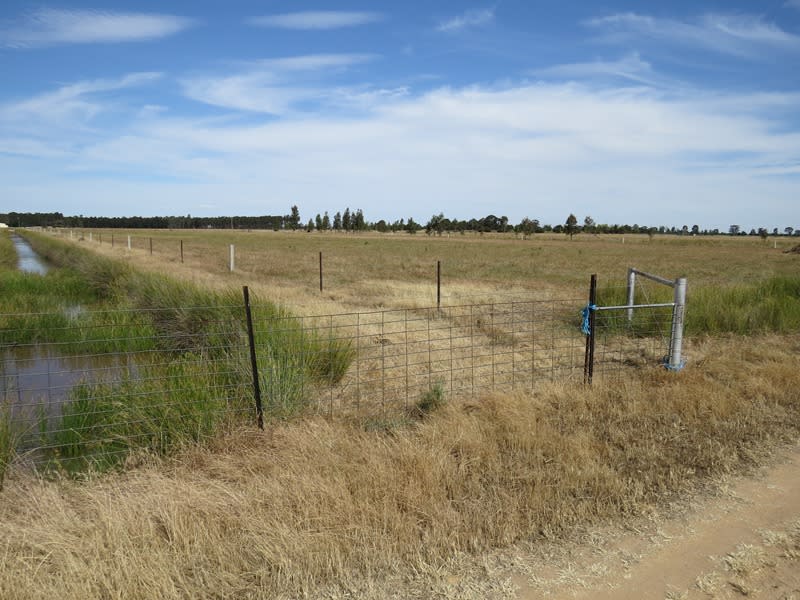 Fifth view of Homely rural property listing, "Dandaloo" Moonee Swamp Road, Deniliquin NSW 2710