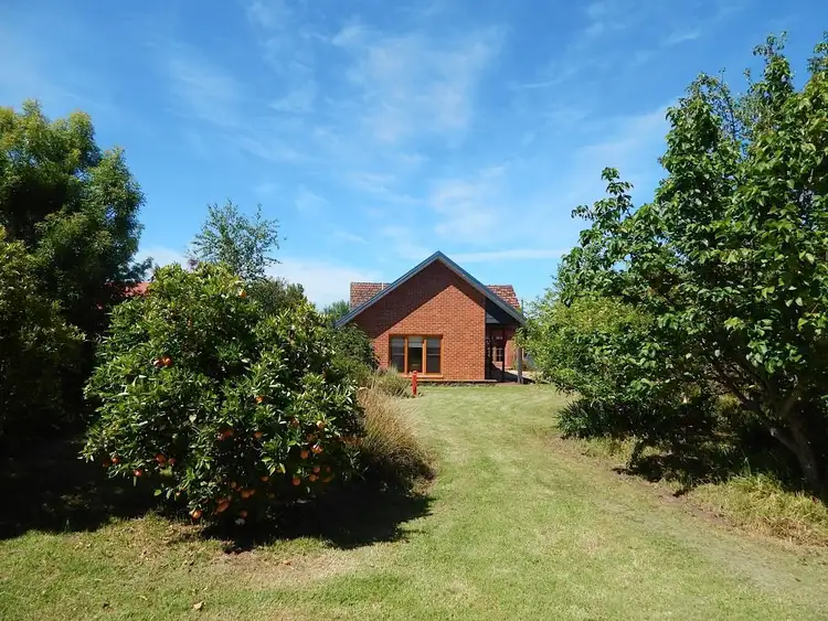 Fifth view of Homely house listing, 19 Scott Street, Orbost VIC 3888