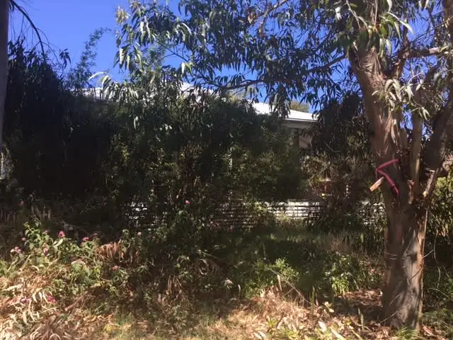 Sixth view of Homely house listing, 13 Carrington Street, Palmyra WA 6157