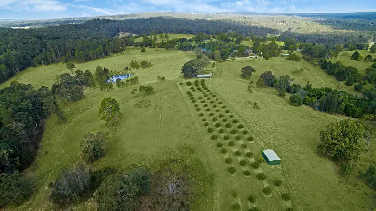 Main view of Homely rural property listing, 1677 The Lakes Way, Rainbow Flat NSW 2430