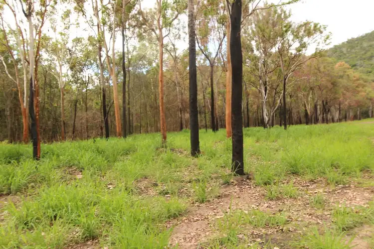 Fifth view of Homely land listing, Lot 10 Studs Road, Coolbie QLD 4850