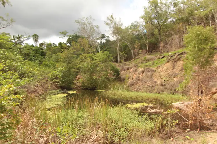 Third view of Homely land listing, Lot 8 Studs Road, Coolbie QLD 4850