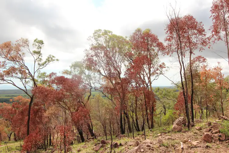 Seventh view of Homely land listing, Lot 8 Studs Road, Coolbie QLD 4850